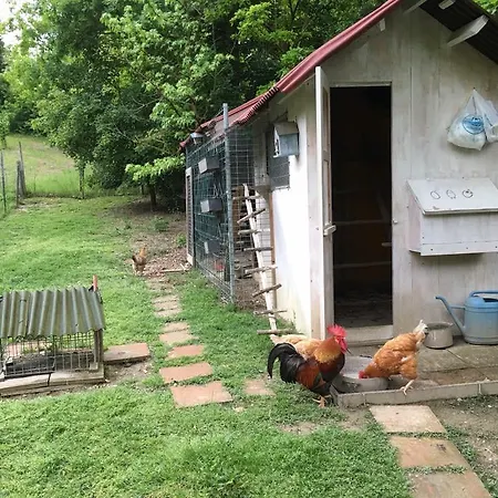 La Ghiottina Savignano sul Panaro