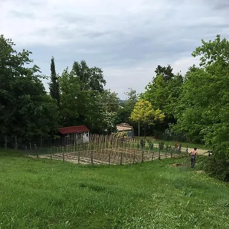 La Ghiottina Savignano sul Panaro