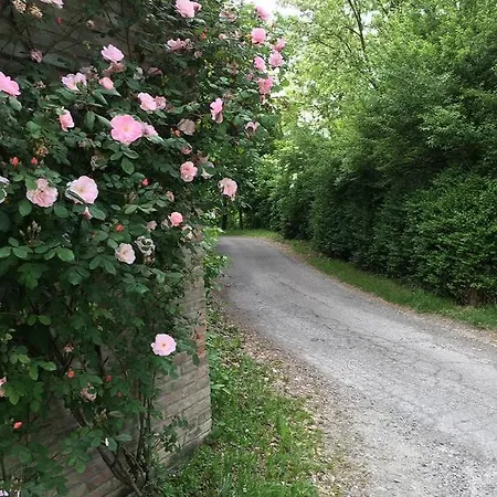 Nocleg ze śniadaniem La Ghiottina Savignano sul Panaro