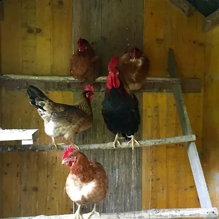 Nocleg ze śniadaniem La Ghiottina Savignano sul Panaro